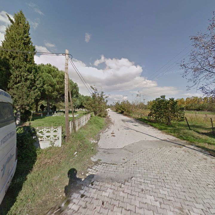 Fotoğraf 10
