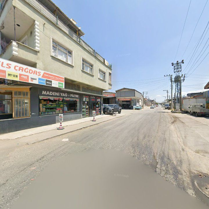 Fotoğraf 8
