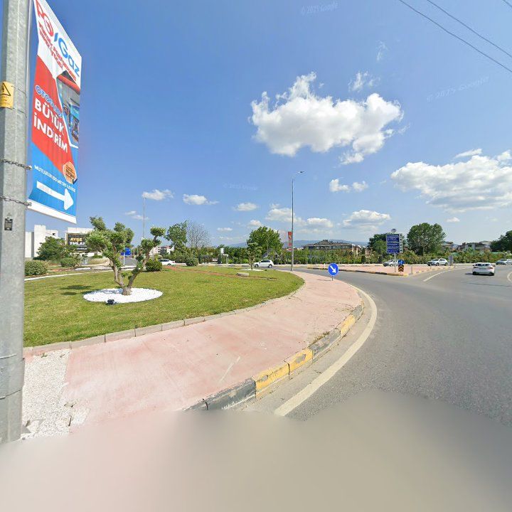 Fotoğraf 11