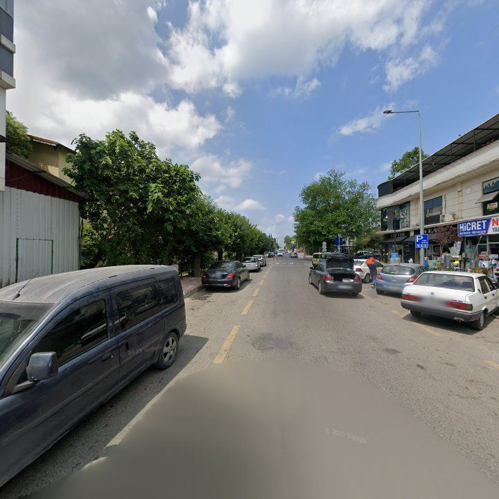 Fotoğraf 9