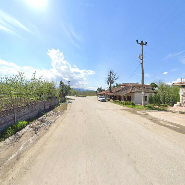 Fotoğraf 8