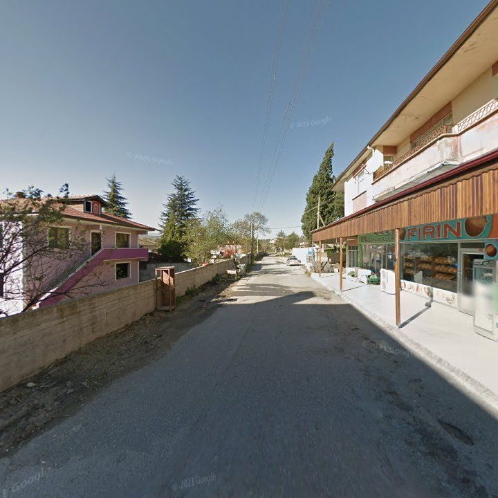 Fotoğraf 9