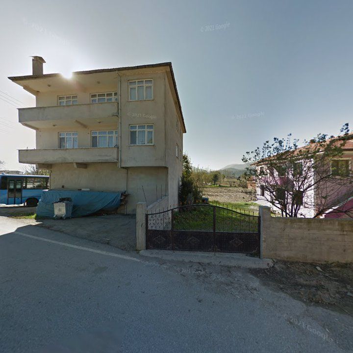 Fotoğraf 8