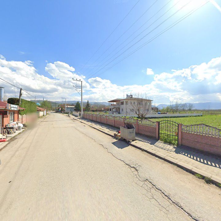 Fotoğraf 7