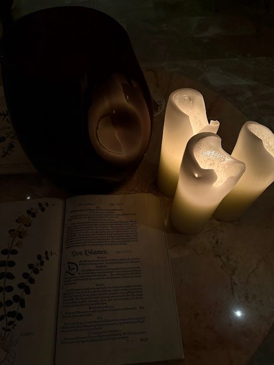 Fotoğraf 33