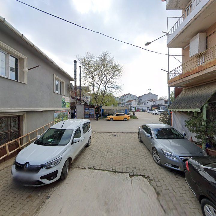 Fotoğraf 9