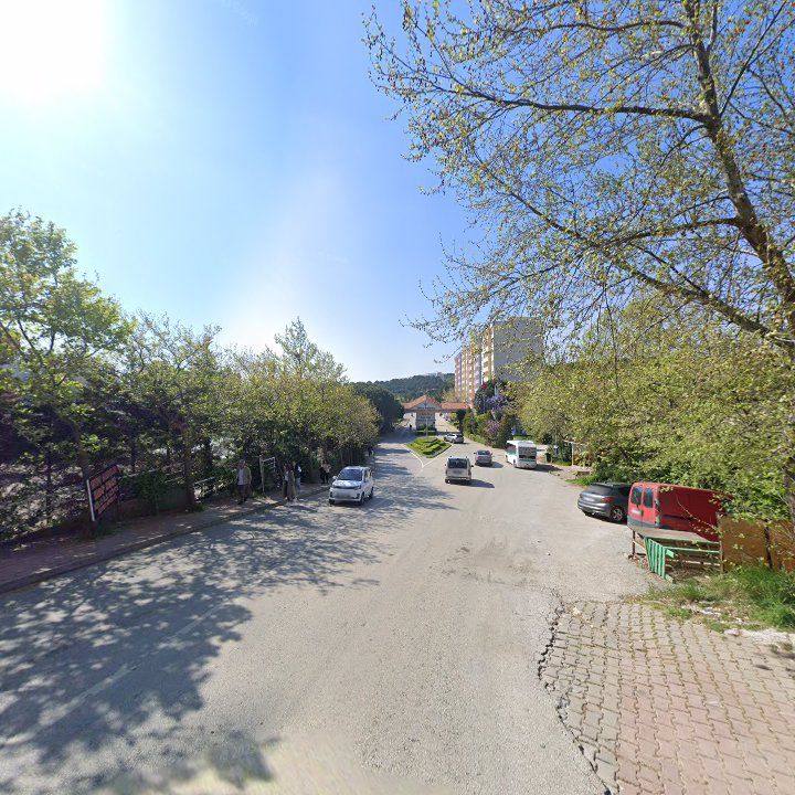 Fotoğraf 8
