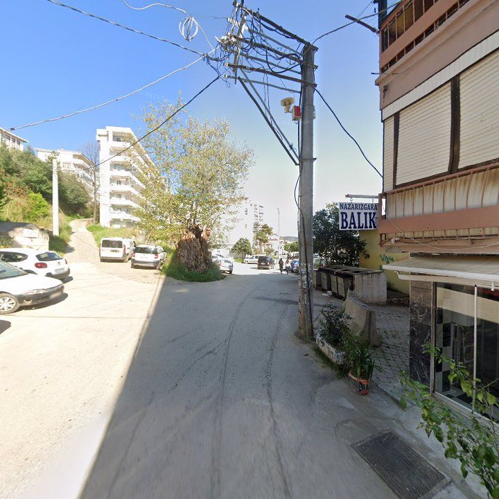 Fotoğraf 8