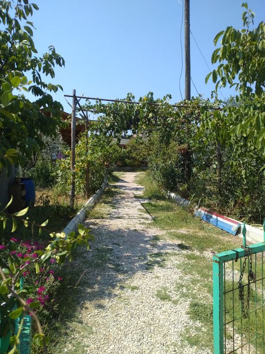Yorum fotoğrafı 4