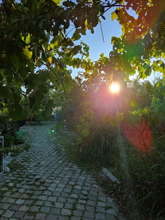Yorum fotoğrafı 4