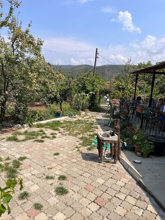 Yorum fotoğrafı 3
