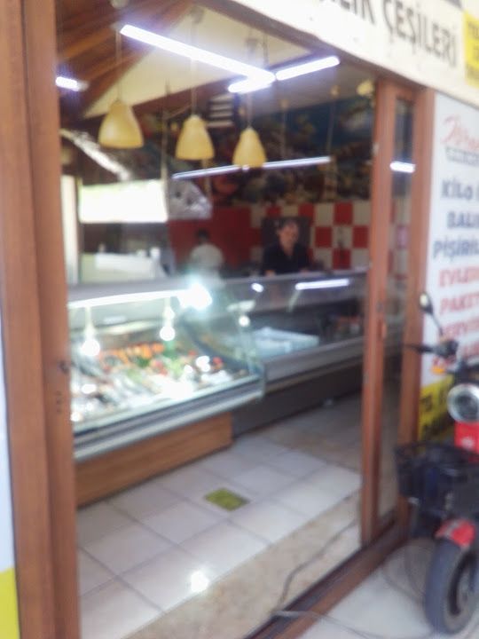 Fotoğraf 3