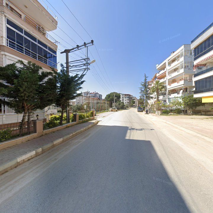 Fotoğraf 14