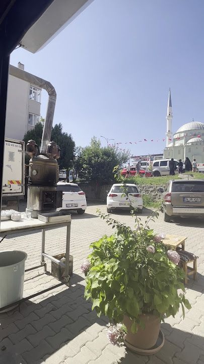Fotoğraf 3