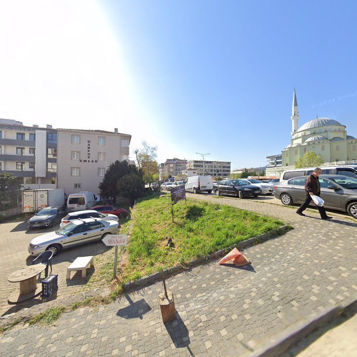Fotoğraf 6