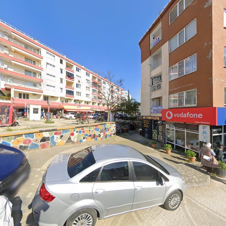 Fotoğraf 8
