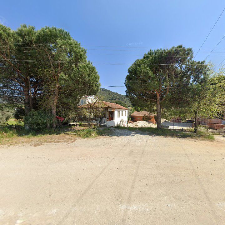 Fotoğraf 8