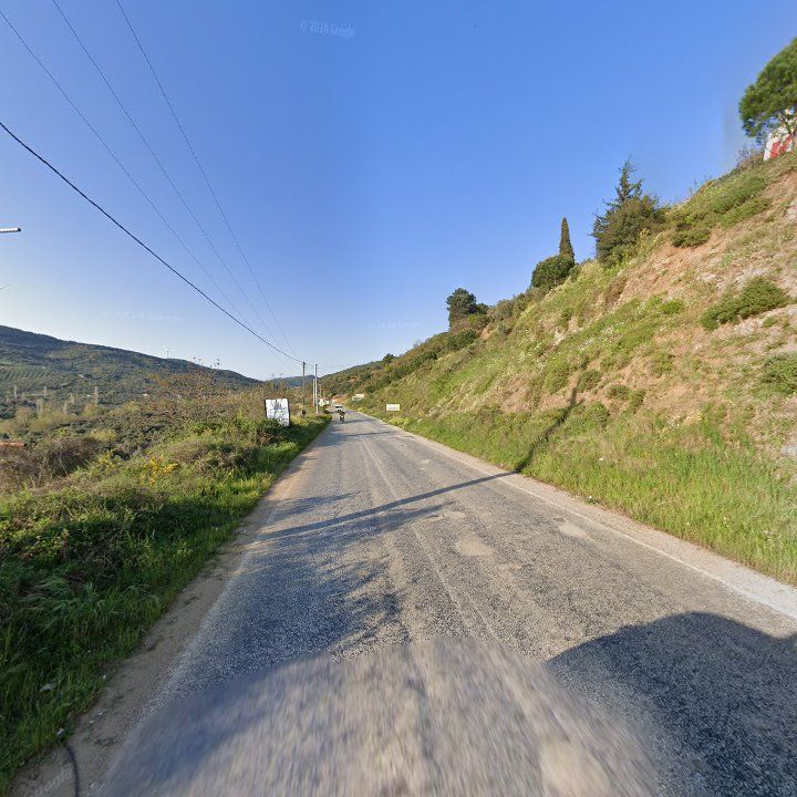 Fotoğraf 11