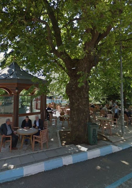 Merkez Cınaraltı Cay Bahçesi