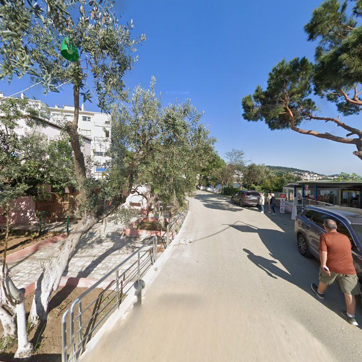 Fotoğraf 7
