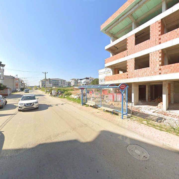 Fotoğraf 8