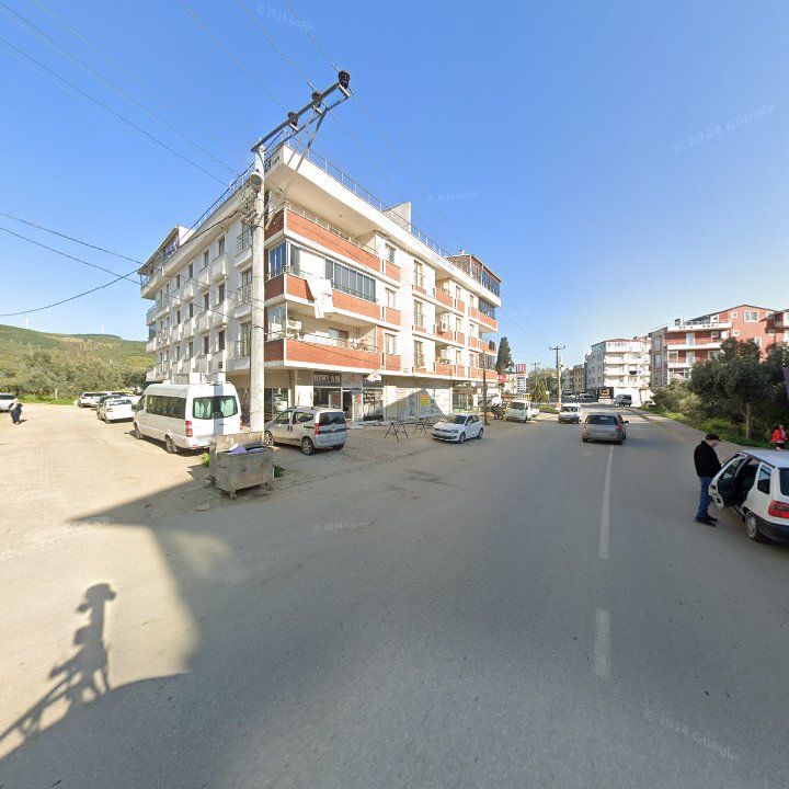 Fotoğraf 12