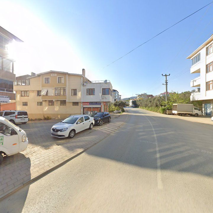 Fotoğraf 10