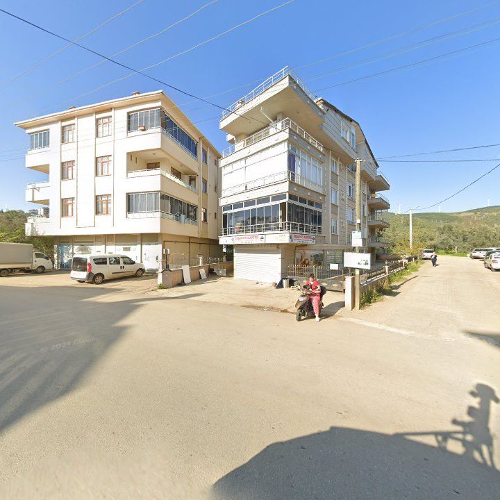 Fotoğraf 11