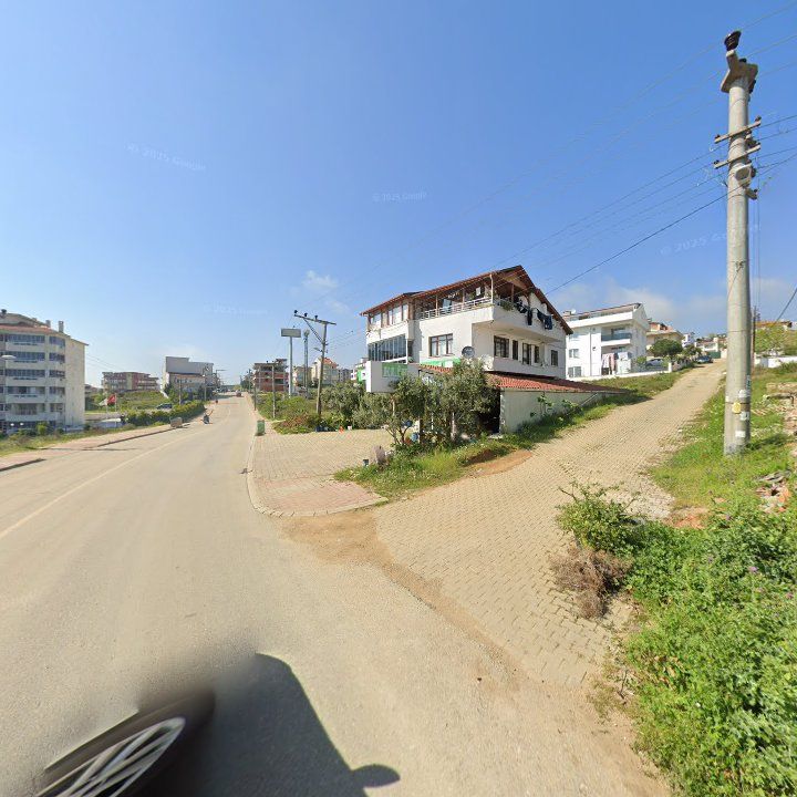 Fotoğraf 10