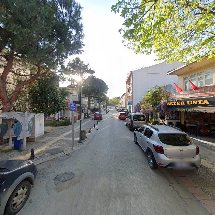 Fotoğraf 9