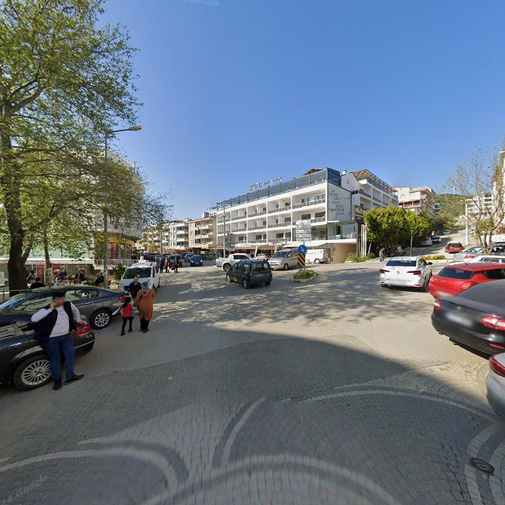 Fotoğraf 10