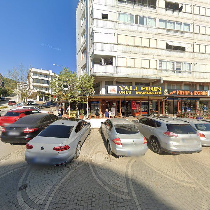 Fotoğraf 7
