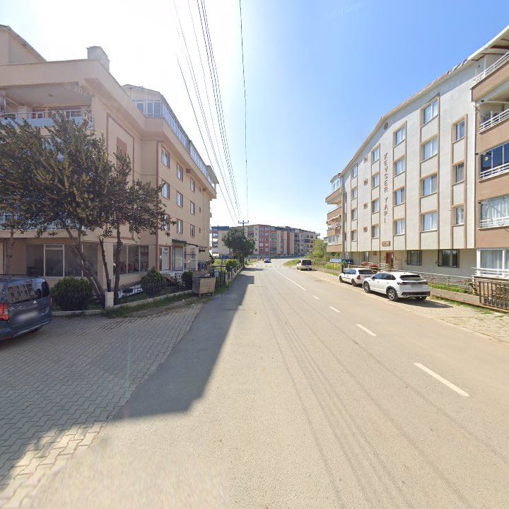 Fotoğraf 11