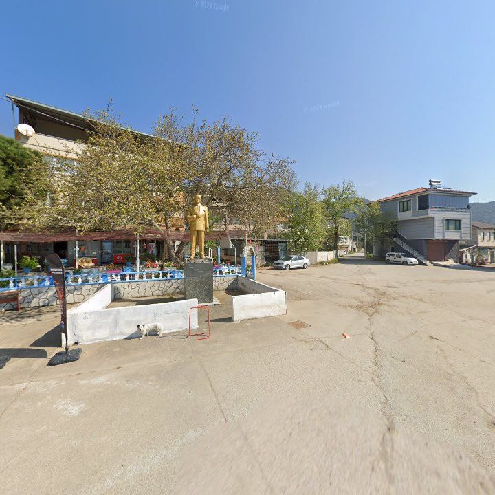 Fotoğraf 7
