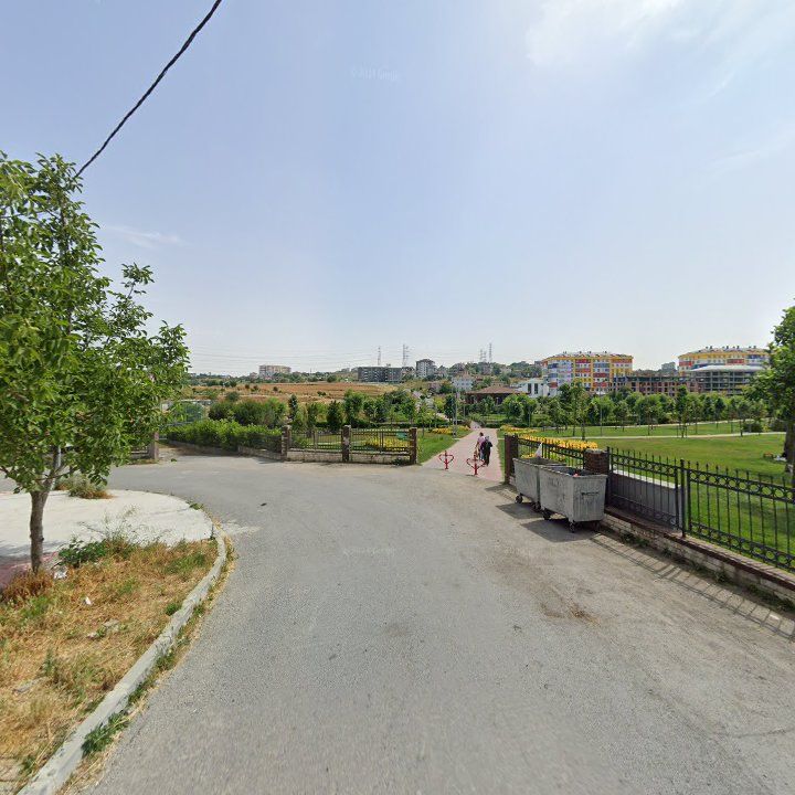 Fotoğraf 9