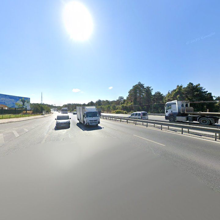 Fotoğraf 12
