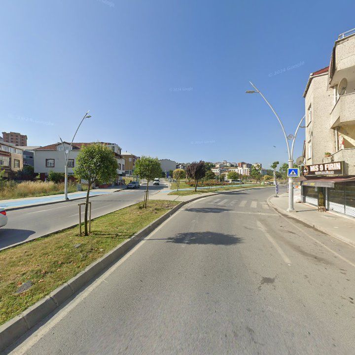 Fotoğraf 14