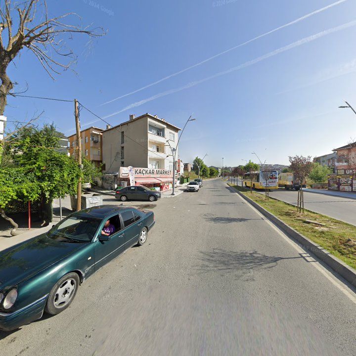 Fotoğraf 12