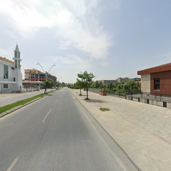 Fotoğraf 11