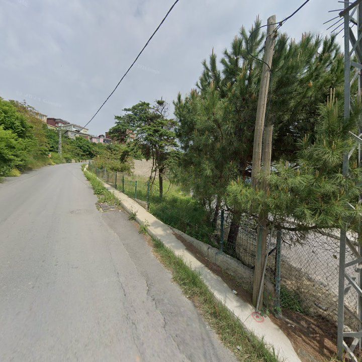 Fotoğraf 12