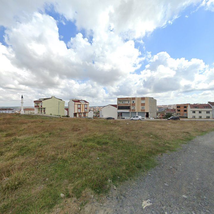 Fotoğraf 13