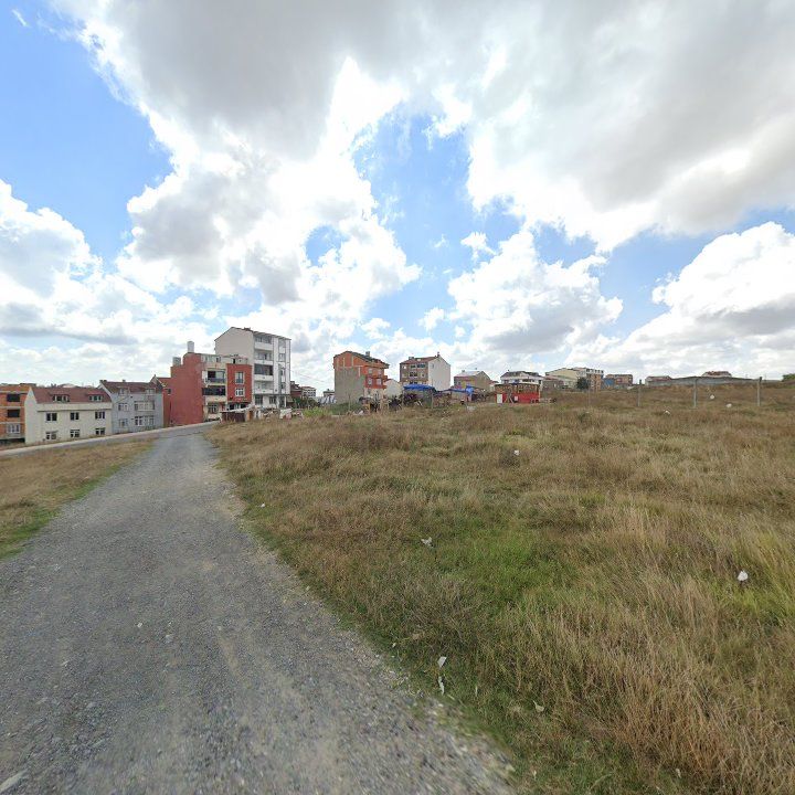 Fotoğraf 14