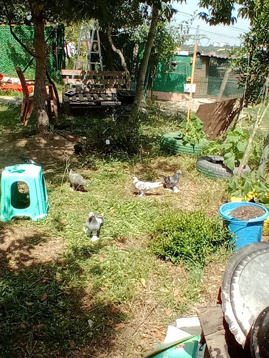 Fotoğraf 8