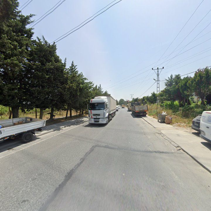 Fotoğraf 11
