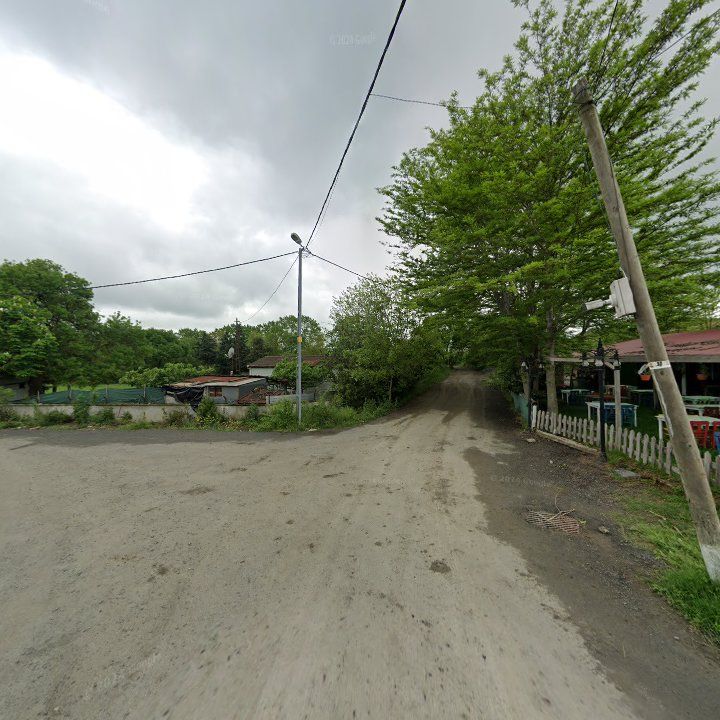 Fotoğraf 10