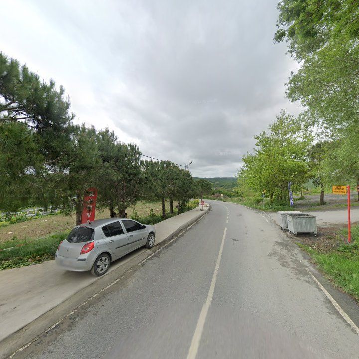 Fotoğraf 9
