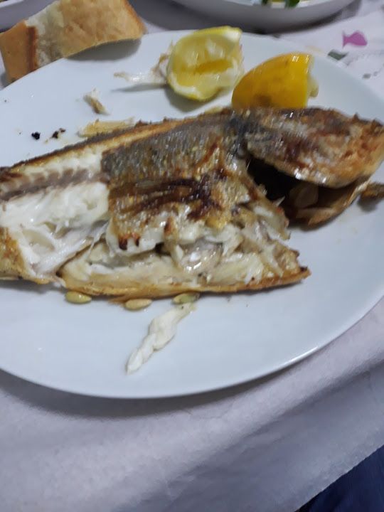 Fotoğraf 15