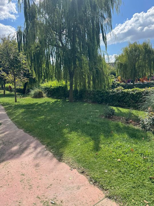 Fotoğraf 15