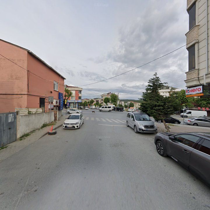 Fotoğraf 10