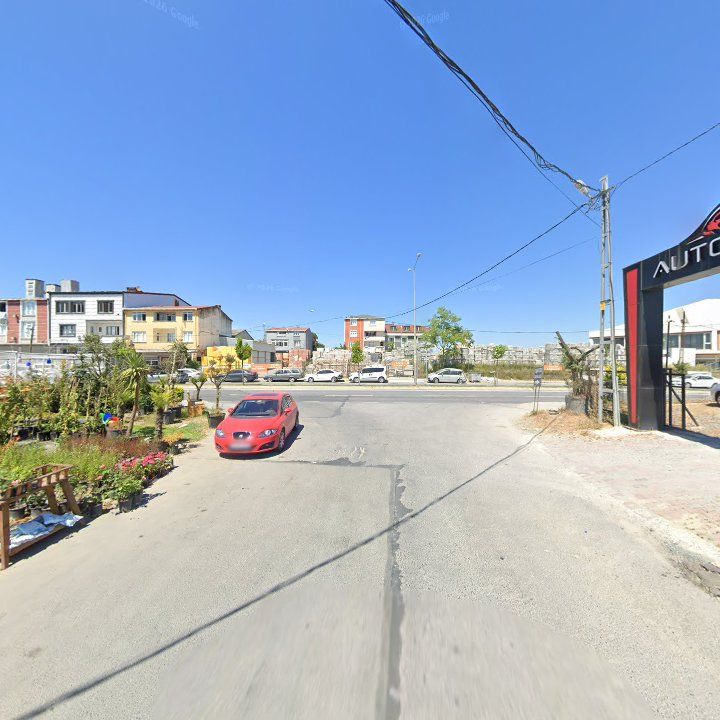 Fotoğraf 10